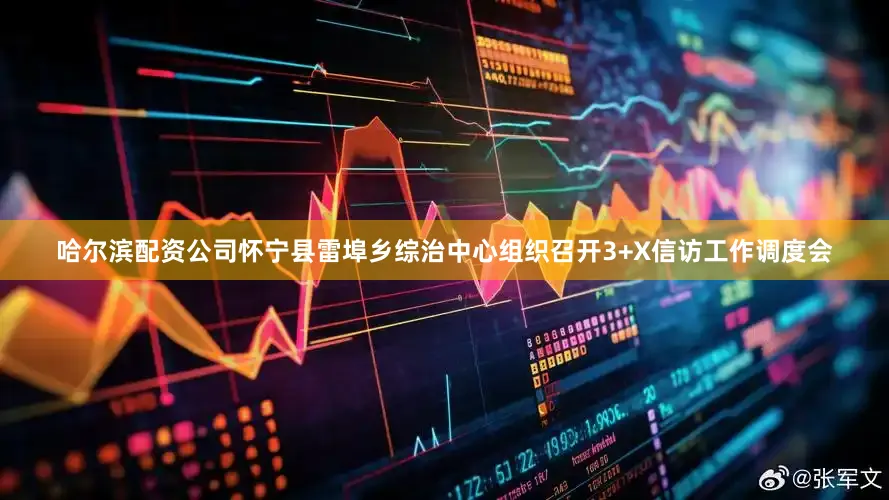 哈尔滨配资公司怀宁县雷埠乡综治中心组织召开3+X信访工作调度会
