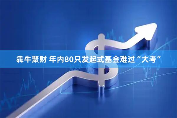 犇牛聚财 年内80只发起式基金难过“大考”