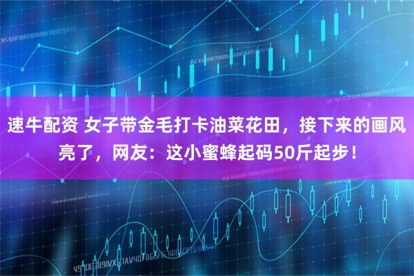 速牛配资 女子带金毛打卡油菜花田，接下来的画风亮了，网友：这小蜜蜂起码50斤起步！