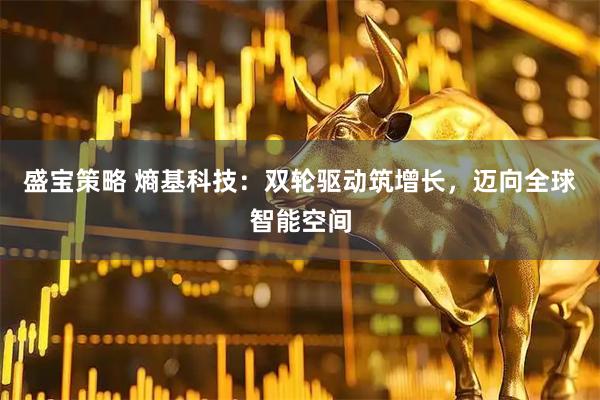 盛宝策略 熵基科技：双轮驱动筑增长，迈向全球智能空间