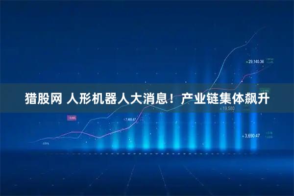 猎股网 人形机器人大消息！产业链集体飙升