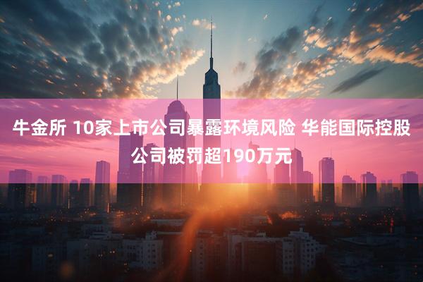 牛金所 10家上市公司暴露环境风险 华能国际控股公司被罚超190万元