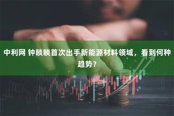 中利网 钟睒睒首次出手新能源材料领域，看到何种趋势？
